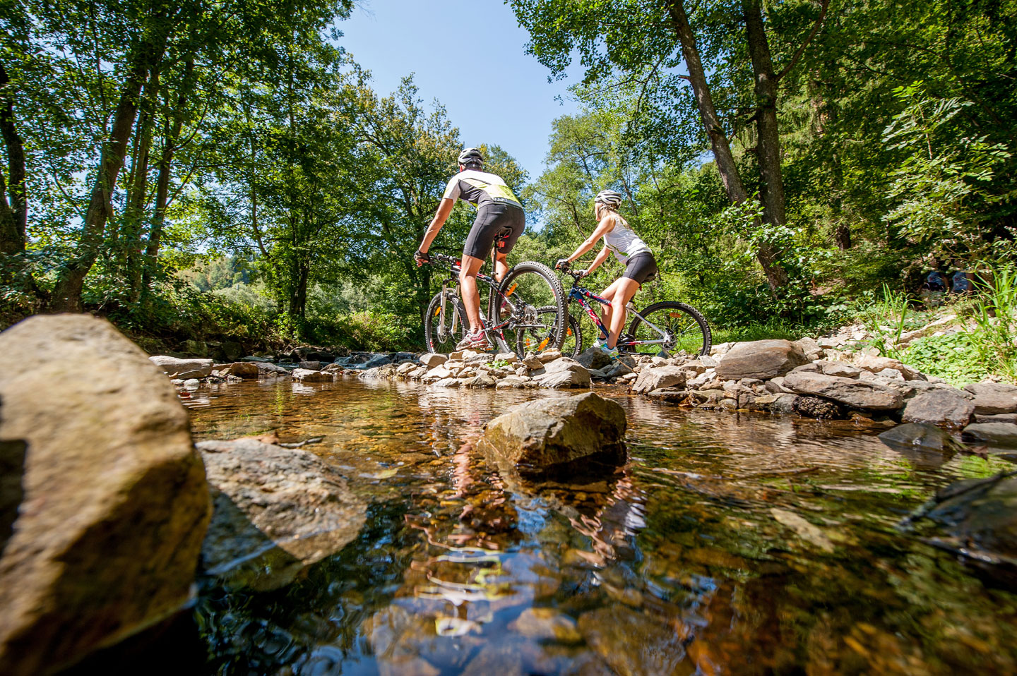 Mountainbiken - Activities and nature