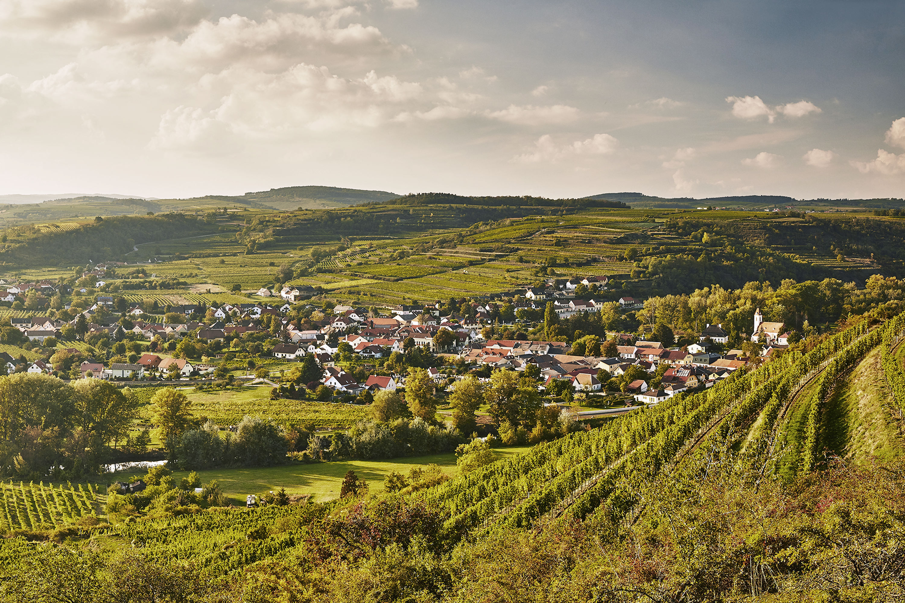 Kamp Valley - The eight winegrowing regions