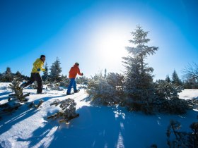 Schneeschuwandern, © ©Wiener Alpen, Foto: Claudia Ziegler