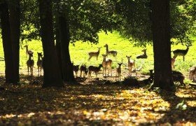 Naturpark Geras, © © POV