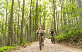 MTB Wienerwald, © Wienerwald Tourismus GmbH / Christoph Kerschbaum