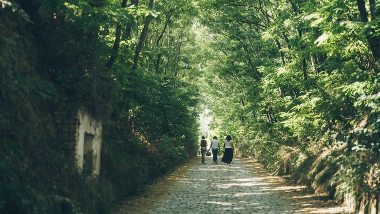 A fairytale walk along the Radyweg, © Niederösterreich Werbung/ Ian Ehm