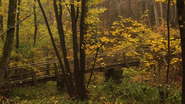 Fastenwandern Brücke im Herbst 2023 © Natascha Zickbauer, © © Zickbauer Natascha