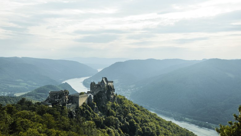 Burgruine Aggstein, © Steve Haider