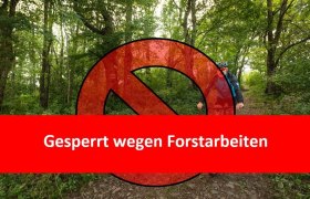 Gesperrt wegen Forstarbeiten, © Wienerwald Tourismus GmbH / Christoph Kerschbaum