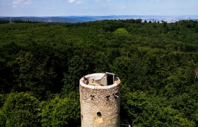 Wilhelmswarte auf dem Gipfel des Hochanningers, © Sascha Schernthaner_Wienerwald Tourismus