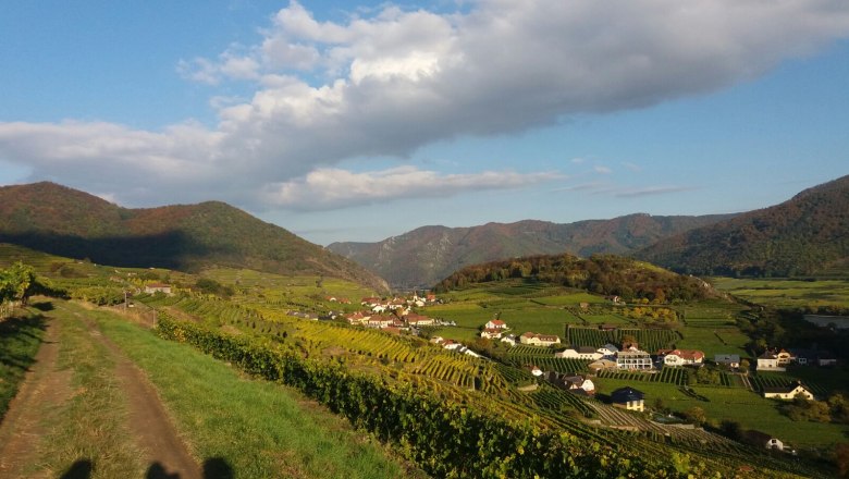 Weinberge und Dorf in hügeliger Landschaft unter blauem Himmel., © Donau NÖ Tourismus_HS