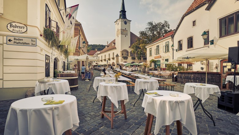 Weinsommer Gumpoldskirchen, © weinsommer-gumpoldskirchen_cwienerwald-tourismus_andreas-hofer_2021