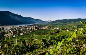 Weißenkirchen in der Wachau, © Robert Herbst