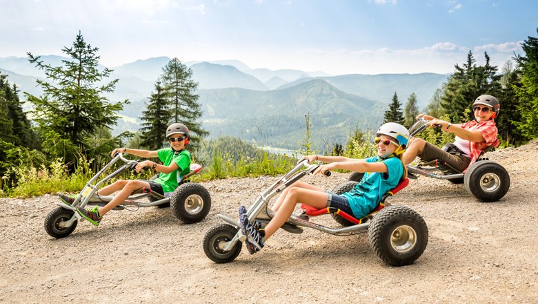 Mountaincarts, © Lindmoser