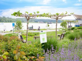 Radfahrer am Donauradweg in Tulln, © Donau Niederösterreich Tourismus GmbH