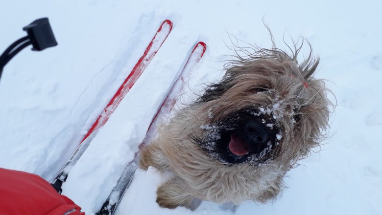 Langlaufen im Winter- die nächste Loipe ist nur 3 Minuten entfernt, © U.E.