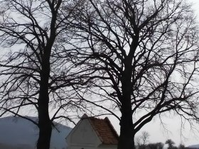 1. Kapelle, © Wiener Alpen in Niederösterreich - Schneeberg Hohe Wand