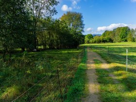 Zwischen den Viehweiden, © Gottfried Grossinger