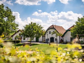 Kellergasse Arbesthal, © Donau Niederösterreich - Tourismusbüro Carnuntum-Marchfeld