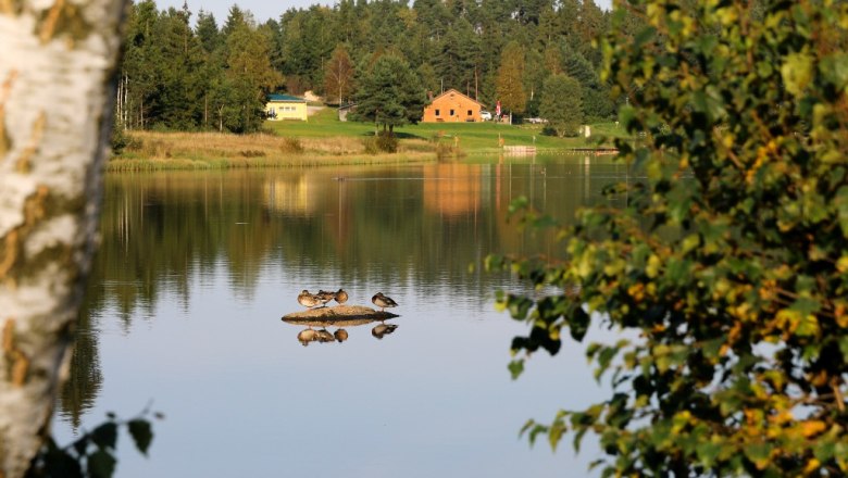 frauenwieserteich-c-broederbauer-qalter23, © Ing. Walter Bröderbauer