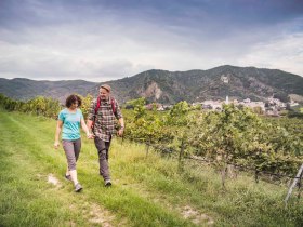 Wanderer am Panoramaweg Rossatz, © Donau NÖ Tourismus/Daniela Matejschek