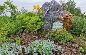 Wildbienenwiese, © Wiener Alpen