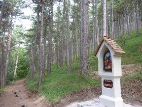 Am Kreuzweg, © Wienerwald