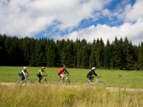 MTB Waldviertel, © Waldviertel Tourismus