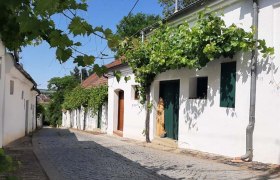 Kellergasse "Bürsting" Poysdorf, © Vino Versum Poysdorf