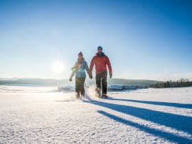 Winter im Waldviertel, © Waldviertel Tourismus, Robert Herbst