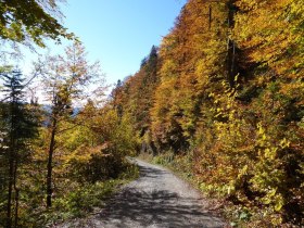 Herbstliche Farbenpracht, © Karl Schachinger