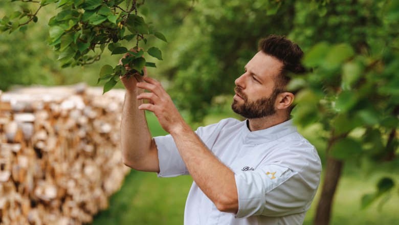 Marillen aus dem eigenen Garten, © Niederösterreich Werbung/Michael Reidinger