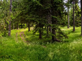 Weitwanderweg, © Wiener Alpen in Niederösterreich