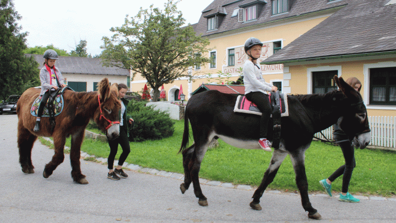 Gasthaus & Ponyhof Holzmühle, © Birgit Taxböck