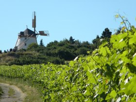 Retzer Windmühle, © Stadtgemeinde Retz, Wöhrer