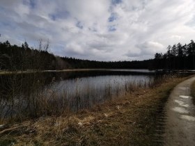 Gemeideteich Heidenreichstein, © Thomas Diesner