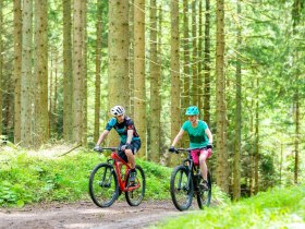 MTB_Wald, © Mostviertel