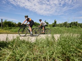 Graveltour Langenlois - Gföhl, © © Niederösterreich Werbung/ Stefan Mayerhofer