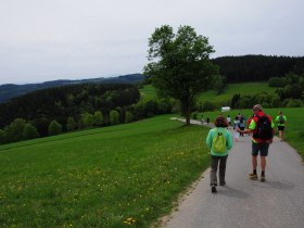 Weinling, © Gottfried Grossinger