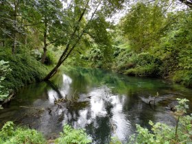 Aulandschaft bei Steyregg, © Mostviertel - Jakobsweg