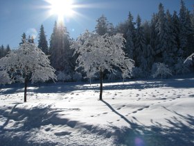 Naturpark Hohe Wand, © Wiener Alpen in Niederösterreich - Schneeberg Hohe Wand