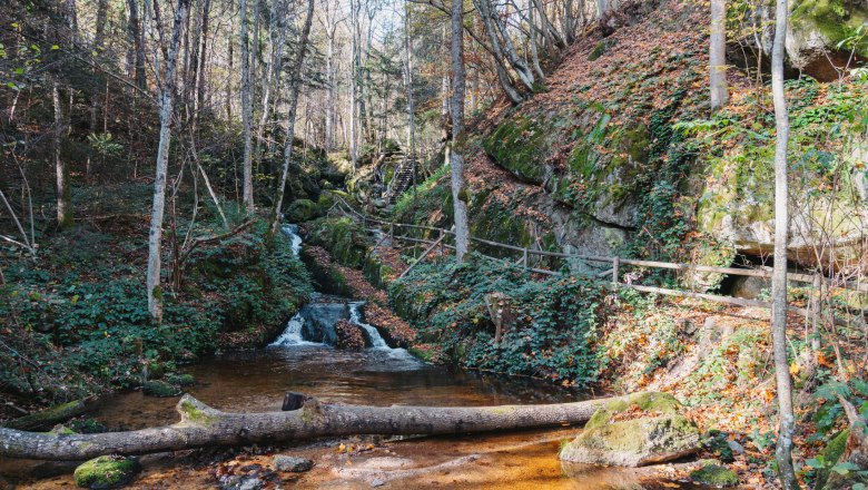 Ysperklamm, © Waldviertel Tourismus, Line Sulzbacher