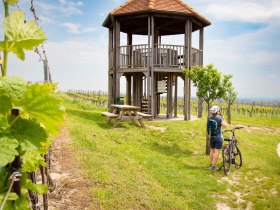 Kleine Pause bei der Aussichtswarte in Fels am Wagram, © Donau Niederösterreich - Kamptal-Wagram-Tullner Donauraum