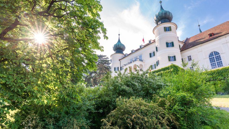 Natur im Schlosspark Artstetten, © Schloss Artstetten