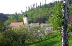 Blick über Messern, © Angela Schmid