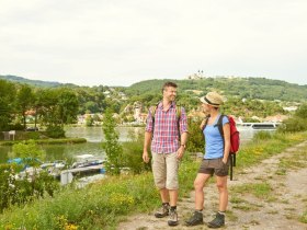 Wandern in Krummnussbaum im Hintergrund Basilika Maria Taferl, © Donau Niederösterreich / Klaus Engelmayer