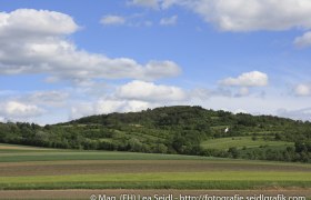 Niederhollabrunn, © Mag. (FH) Lea Seidl