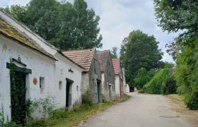 Kellergasse Niederleis, © Weinviertel Tourismus