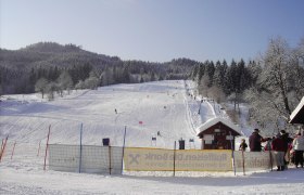 Das Skigebiet Riesenlehen, © Walter Kern