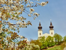 Basilika in Maria Taferl, © Donau Niederösterreich / Klaus Engelmayer