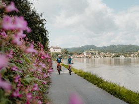 Radfahren in Grein, © WGD Donau Oberösterreich Tourismus GmbH