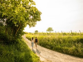 Vino-Birdie-Tour, © Waldviertel Tourismus