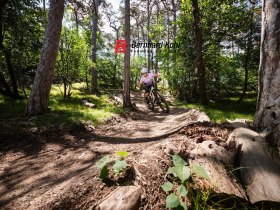 MTB Area Anninger, © Wienerwald Tourismus/TUES GmbH