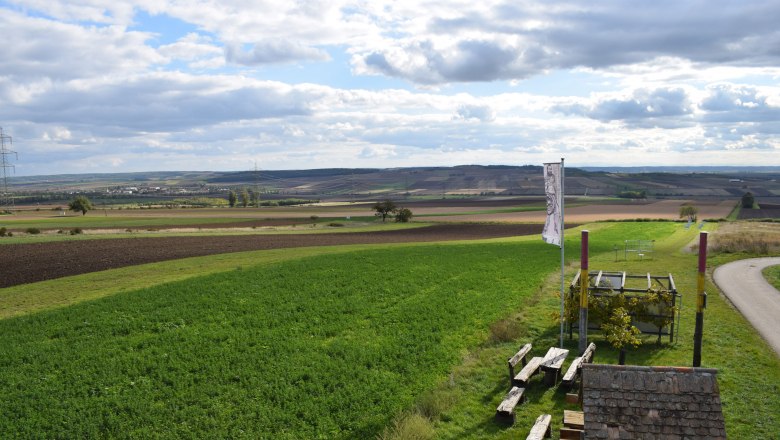 View of the area where the finds were made, © ARDIG